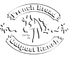 French Broad Dude Ranch